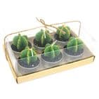 Cactus Candles Set Of 6 - Cactus Succulent Tea Light Candles Set of 6