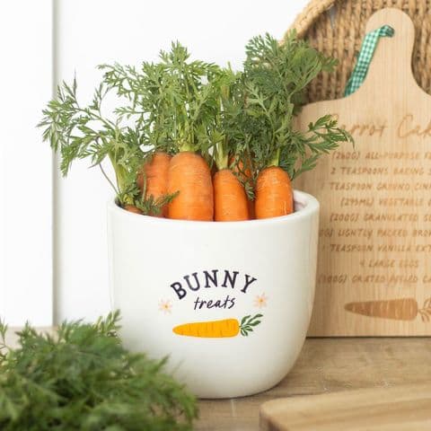 Carrot Design 'Bunny Treats' Ceramic Pot