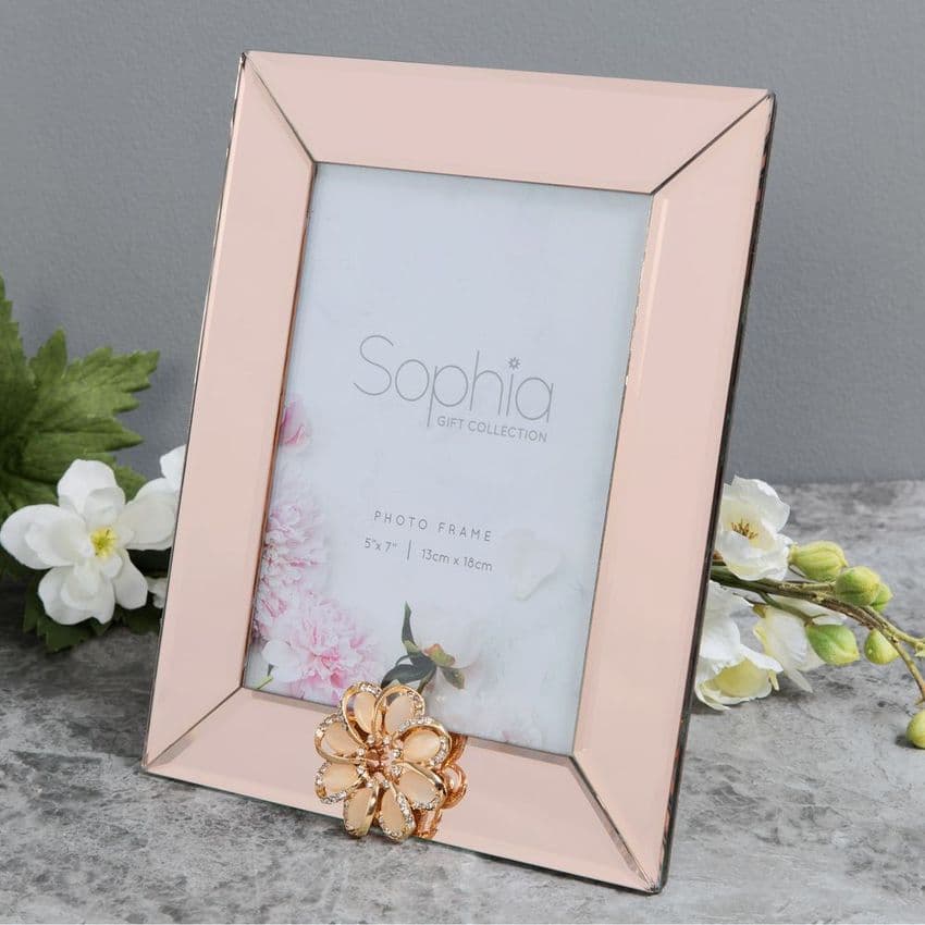 Champagne Mirrored Glass Photo Frame 5 x 7 Luxury Embellished Frame
