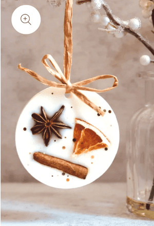 Christmas Scented Hanging Wax Melt Decoration Gift - Winter Spice
