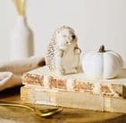 Country Living White Hedgehog Salt & Pepper Set | Autumn Tableware Home Accessories