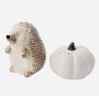 Country Living White Hedgehog Salt & Pepper Set | Autumn Tableware Home Accessories