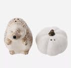 Country Living White Hedgehog Salt & Pepper Set | Autumn Tableware Home Accessories