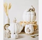 Country Living White Hedgehog Salt & Pepper Set | Autumn Tableware Home Accessories