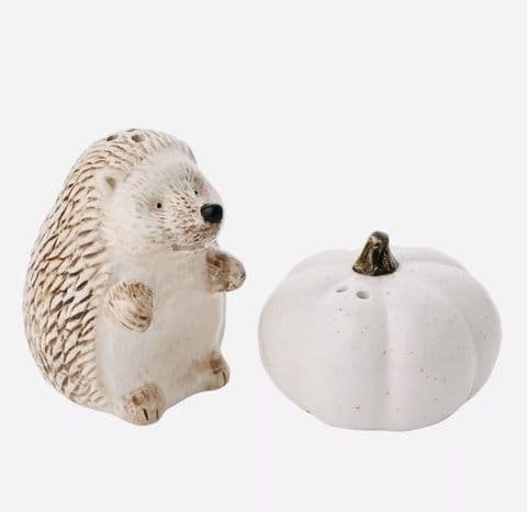Country Living Hedgehog Salt & Pepper Set