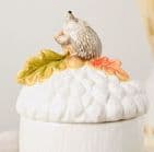 Country Living Hedgehog Storage Jar | Autumn White Ceramic Jar