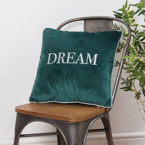 Dark Green Velvet Dream Cushion - Embroidered Scatter Cushion