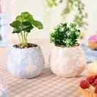 Disney Alice In Wonderland set of 2 mini plant pots with everlasting realistic faux plants,  whimsical fantasy home accessory gift for Disney fans