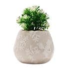 Disney Alice In Wonderland set of 2 mini plant pots with everlasting realistic faux plants,  whimsical fantasy home accessory gift for Disney fans