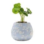 Disney Alice In Wonderland set of 2 mini plant pots with everlasting realistic faux plants,  whimsical fantasy home accessory gift for Disney fans
