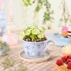 Disney Alice In Wonderland tea cup shape planter with everlasting faux plant,  whimsical fantasy home accessory gift for Disney fans