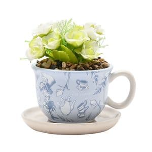 Disney Alice In Wonderland Tea Cup Planter With Everlasting Flowering Plant