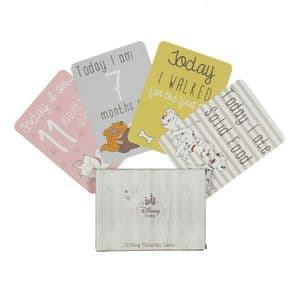 Disney Baby Set Of 30 Milestone Cards Assorted Characters
