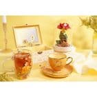Disney Belle Teacup & Saucer Gift Set