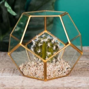Glass Hexagonal Planter with artificial cactus succulent terrarium style home accessory