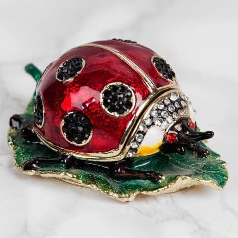 Ladybird Trinket Box Gift Treasured Trinkets Collection by Juliana