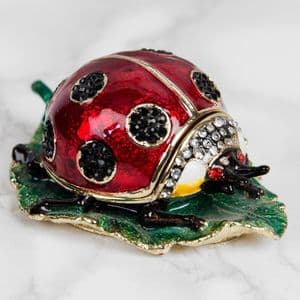 Ladybird Trinket Box Gift Treasured Trinkets Collection by Juliana