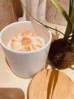 Luxury Soy Candle with Daisy Flower – White Ribbed Jar with Wooden Lid (30cl) - Citronella Fragrance