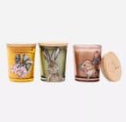 Meg Hawkins The Field Mini Scented Candle Gift Set | Country Scents