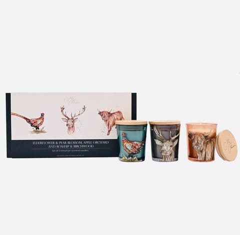 Meg Hawkins The Highlands Mini Candle Gift Set – Pheasant, Stag & Highland Cow (Set of 3)