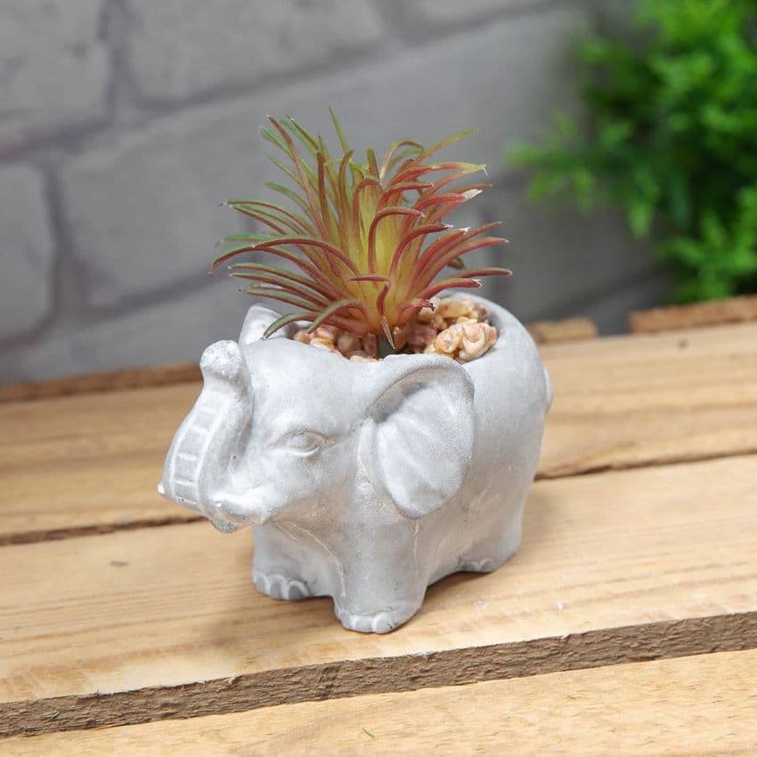 Mini Elephant Planter with succulent - cement planter home ornament