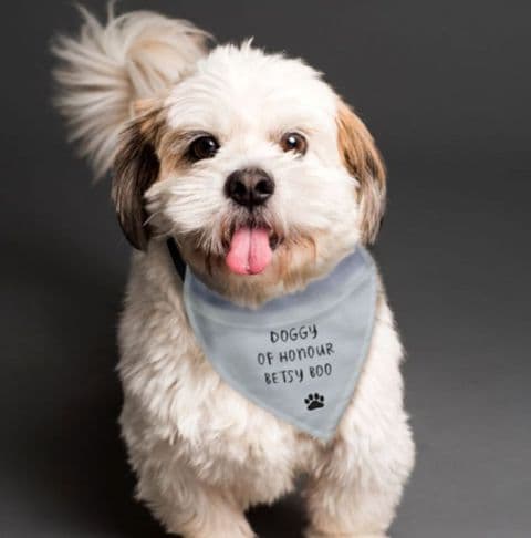 Personalised Bandana Dog Collar For Weddings and Special Occasions Best Dog Collar Gift