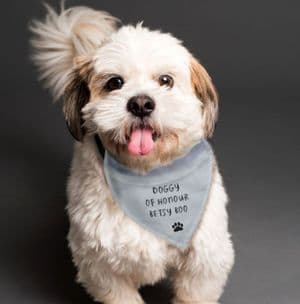 Personalised Bandana Dog Collar For Weddings and Special Occasions Best Dog Collar Gift