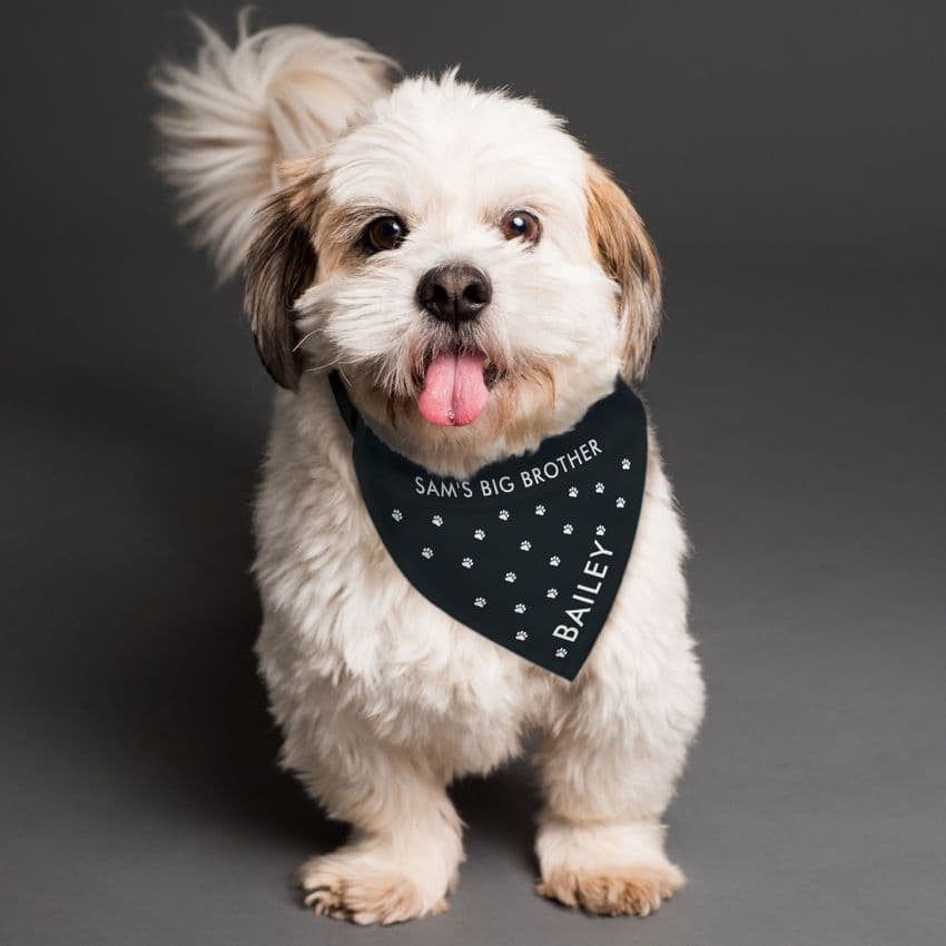 Personalised Black Paw Print Bandana Style Dog Collar Pet Gift