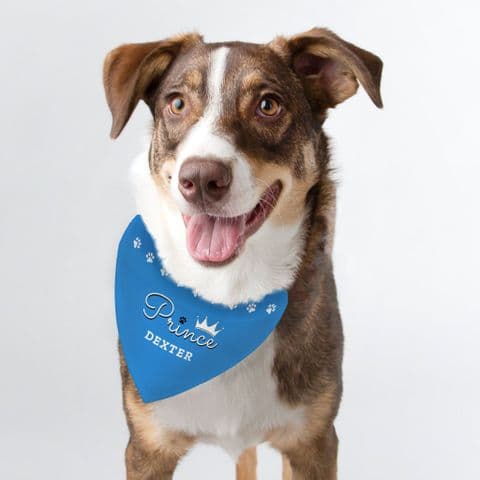 Personalised Blue Prince Dog Bandana Collar Pet Gift