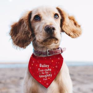 Personalised Christmas Pet Gift Red Bandana Too Cute Design