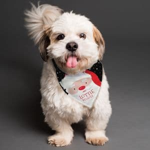 Personalised Dog Bandana Santa Design Christmas Gift For Pet Dog