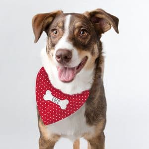 Personalised Red Polka Dot Dog Bandana Collar Pet Gift