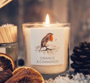 Robin Redbreast Design Scented Cande by Meg Hawkins - Orange & Cinnamon Fragrance 250g