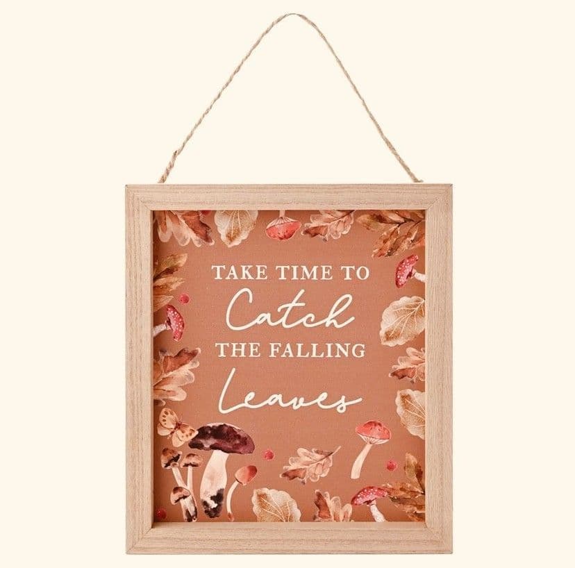 Rustic Wooden Autumn Quote Wall Plaque - Take time to catch the falling leaves quote