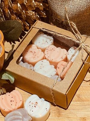 Spiced Pumpkin Wax Melts – Set of 8 Autumn Pumpkin Shapes