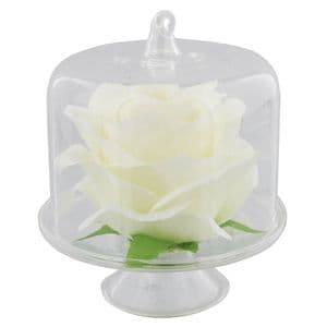 White Rose Encased in Glass Dome - Dressing Table Ornament - Table Dressing Accessory