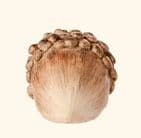 Wood Effect Resin Acorn Woodland Home Ornament