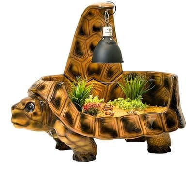 THE VIVIDARIUM TORTOISE HOME