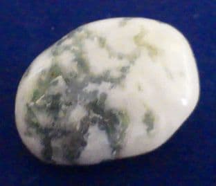 Agate - Tree (1-2cm) x 1