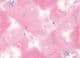 Angels Bring Love Greetings Card - Gran - SALE