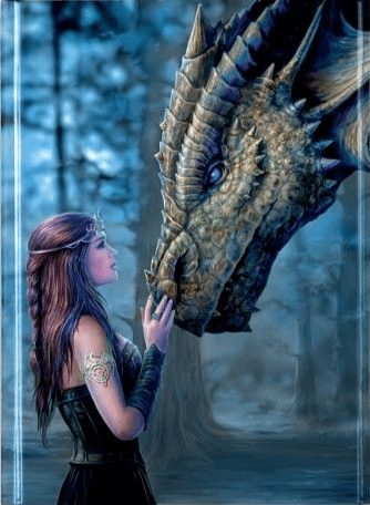 Anne Stokes - Once Upon a Time (Foiled Journal)