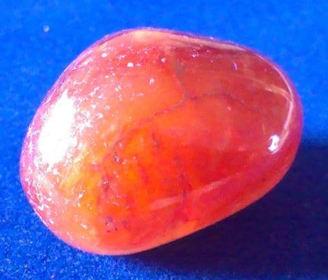 Carnelian (1-2cm) x 1