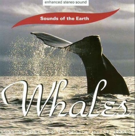 David Sun CD - Sounds of the Earth: Whales