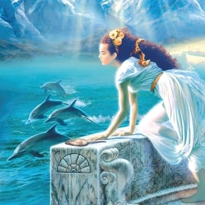 Dolphins (2) Greetings Card & Music CD