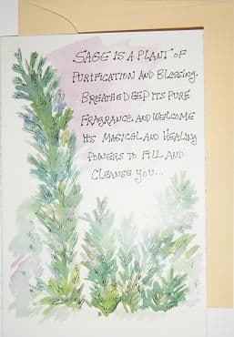 Greetings Card: Sage (Card including Loose Sage)