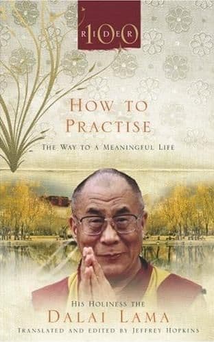 His Holiness the Dalai Lama - How to Practise (Book)