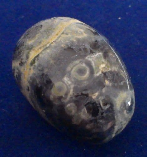 Jasper - Kambaba (1.5cm) x 1