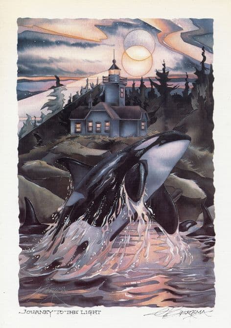 Jody Bergsma Blank Greetings Card - Journey into the Light - SALE