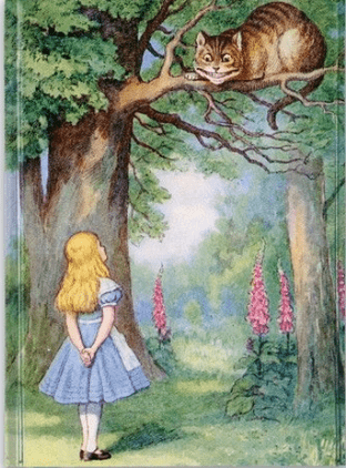 John Tenniel - Alice and the Cheshire Cat (Foiled Journal - Pocket)