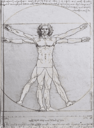 Leonardo da Vinci - Vitruvian Man (Foiled Journal)